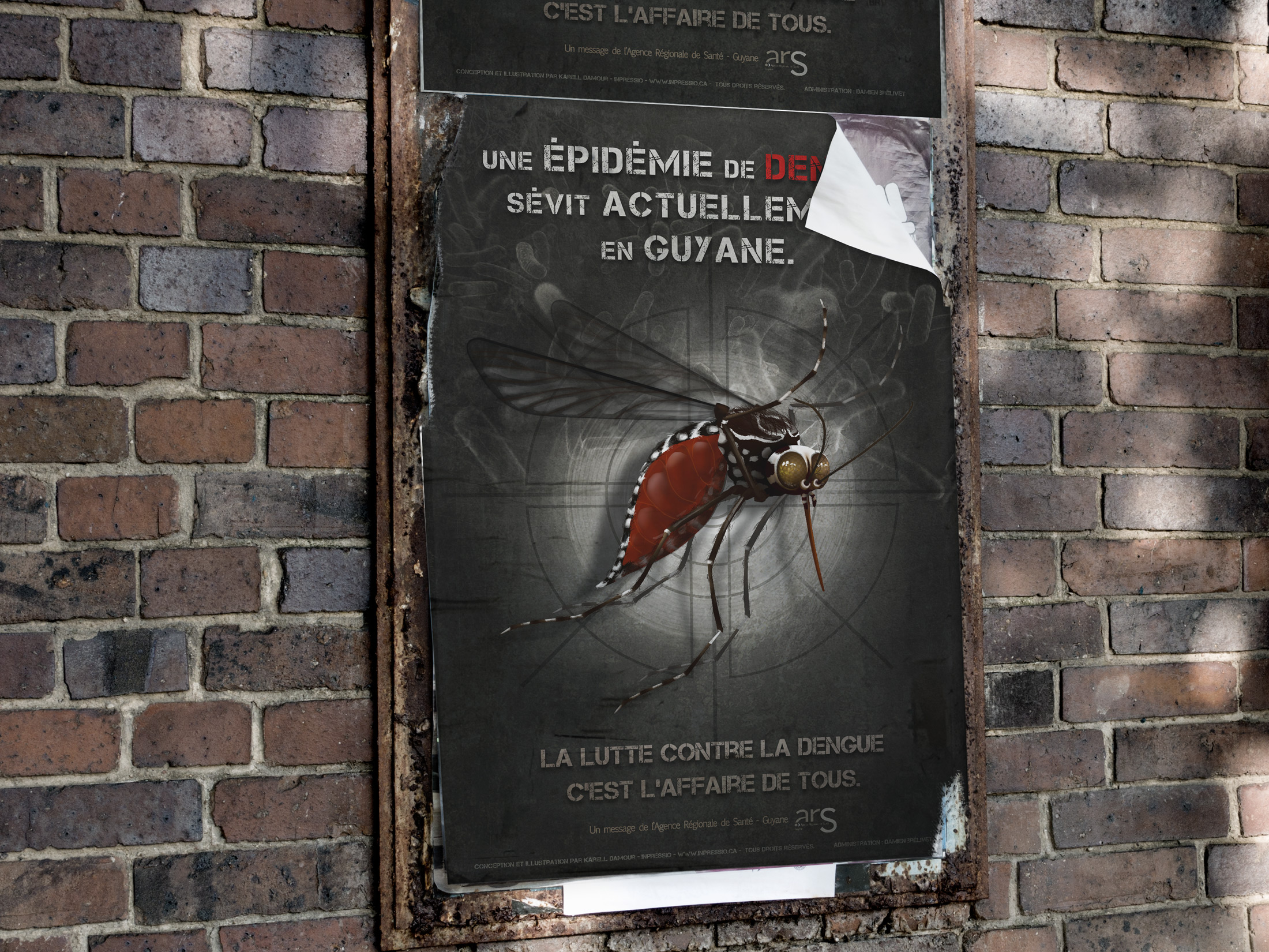 Affiche de prévention contre la Dengue